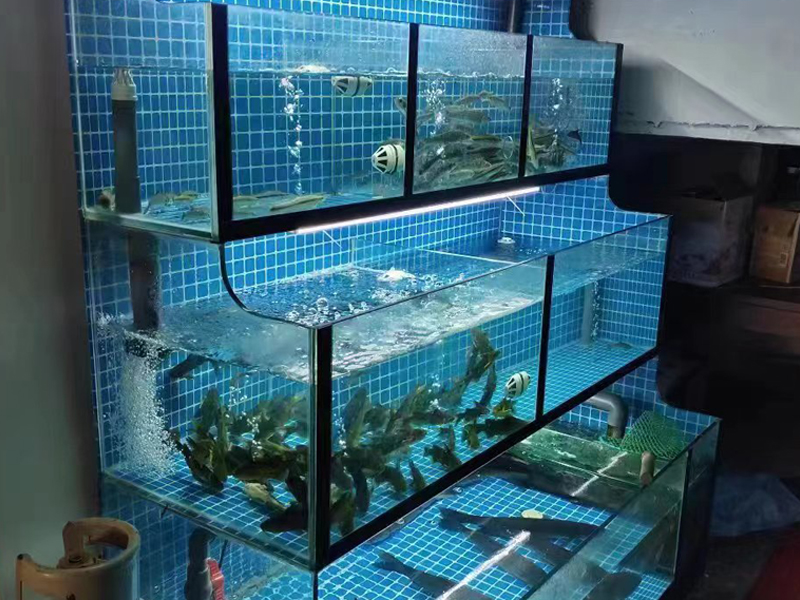 產(chǎn)品展示8